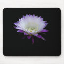 Recherche de fleur cactus tapis souris Succulent