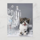 Recherche de bouteille cartes postales Plan studio