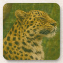 Recherche de leopard dessous de verres Animal sauvage