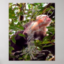 Recherche de adn posters Gènes