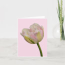 Recherche de tulipe toutes vœux cartes Rose