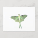 Zoek naar luna briefkaarten Natuur
