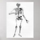 Recherche de andreas vesalius posters Anatomie