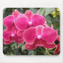 Recherche de orchidée verte tapis souris Orchidées