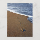 Recherche de jogging posters Plage