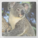 Recherche de australien dessous de verres Eucalyptus