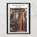 Recherche de parc national séquoia cartes postales Parcs nationaux