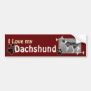 Recherche de dachshund voiture autocollants Animal