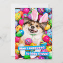 Zoek naar paaseieren posters Schattig dier