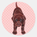 Zoek naar labrador puppy stickers Retriever