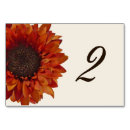 Recherche de tournesol orange Floral