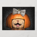 Recherche de humour citrouille invitations Animaux