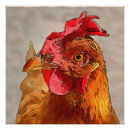Recherche de pouls posters Coloré