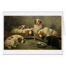 Recherche de clumber Animaux