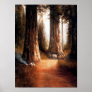 Recherche de séquoia géant posters Séquoias