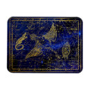 Recherche de lézard magnets Vintage