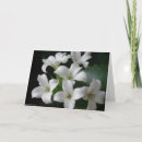 Recherche de multi région vœux cartes Floral