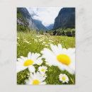 Recherche de lauterbrunnen cartes postales Nature