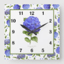 Recherche de hortensias horloges Fleurs bleues