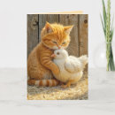 Zoek naar kuiken kaarten Katje