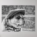 Recherche de de carlins posters Adorable
