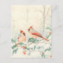Zoek naar bosdieren briefkaarten Vogel