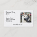 Zoek naar siberian husky visitekaartjes Puppies
