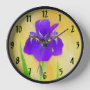 Recherche de barbu horloges Iris