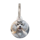 Recherche de caniches Dogs