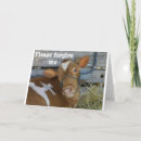 Zoek naar beurs posters Fotografie