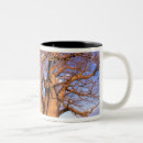 Recherche de baobab tasses Safari