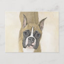 Zoek naar boxer puppy briefkaarten Bokser