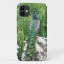 Zoek naar pauw hoesjes Foto