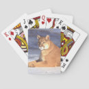 Recherche de se reposer jeux de cartes Chat