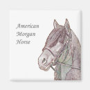 Recherche de horse magnets Chevaux