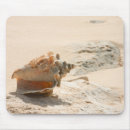 Recherche de coquilles tapis souris Mer