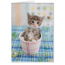 Recherche de munchkin cartes postales Mignon