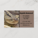 Recherche de reptile cartes visite Serpent