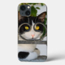 Recherche de chat curieux iphone coques Drôle