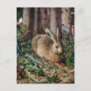 Recherche de lapin vintage cartes postales Amoureux des animaux