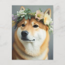 Recherche de inus shiba cartes postales Dog