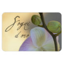 Recherche de orchidées magnets Tropical