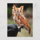 Zoek naar oosters briefkaarten Vogel