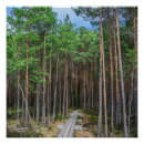 Recherche de pépin posters Nature