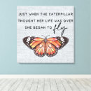 Recherche de citations papillon toiles Encouragement