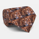 Recherche de roi de la jungle cravates Faune