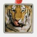 Recherche de zoo ornements Faune