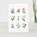 Zoek naar botanicals kaarten Illustratie