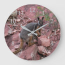 Recherche de pieds horloges Animal