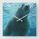 Recherche de ours blanc horloges Polaire
